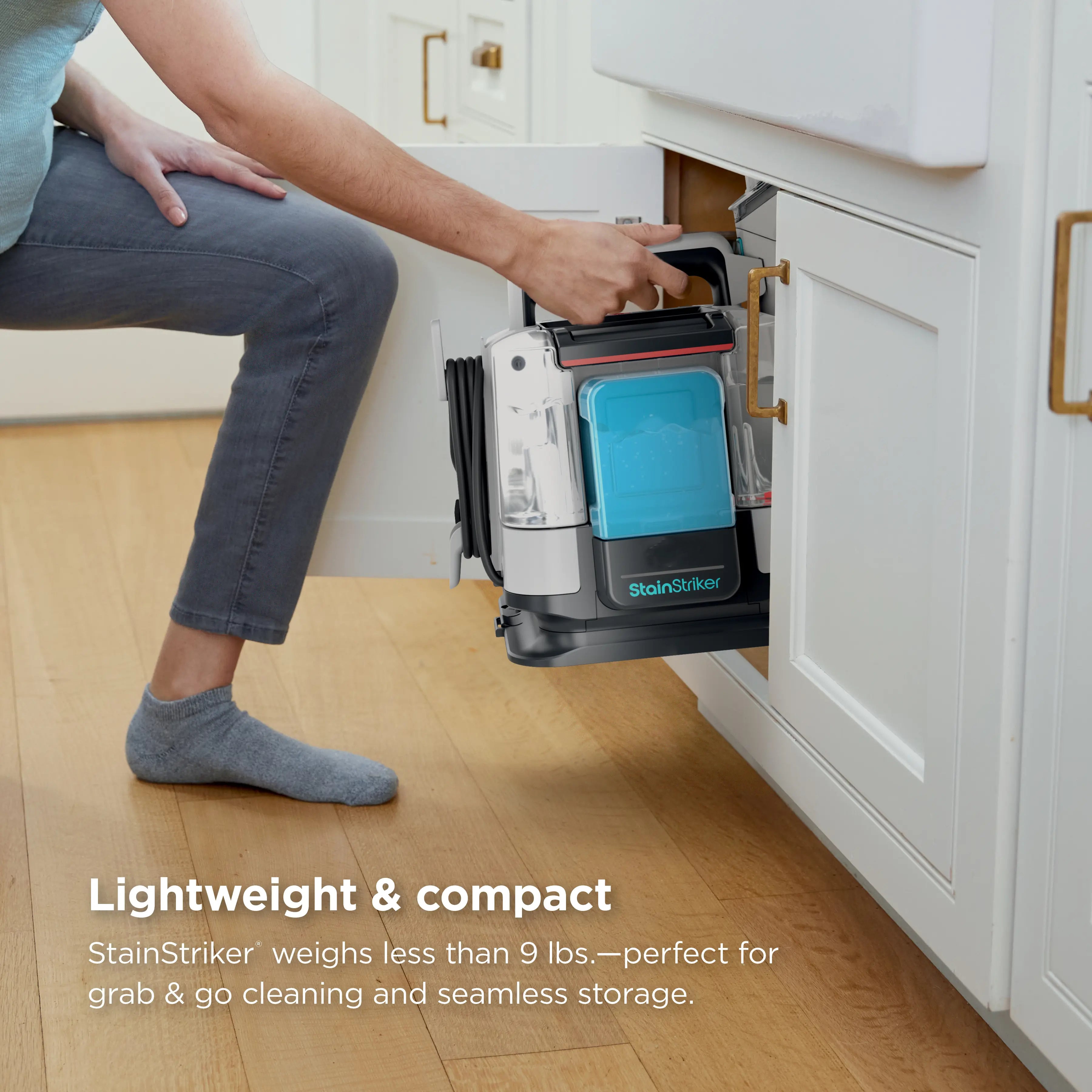 Portable Carpet and Upholstery Cleaner
